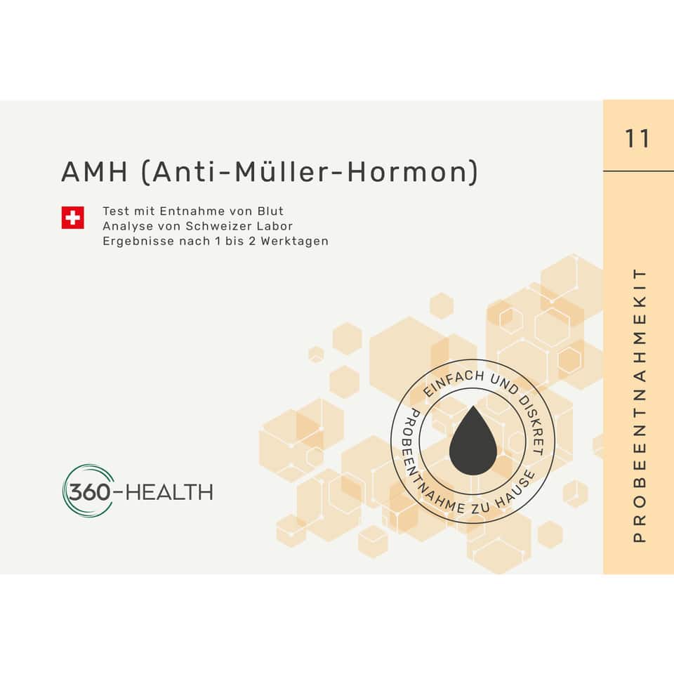Anti-Müllerian Hormone AMH 1 Anti Müller Hormon AMH